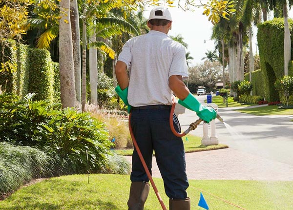About Warne NC Pest Control